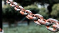 The long Rusty chains in park