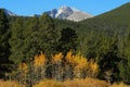 Long's Peak, golden aspens Royalty Free Stock Photo