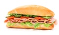 Long sandwich Royalty Free Stock Photo