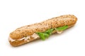 Long sandwich Royalty Free Stock Photo