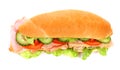 Long sandwich isolated Royalty Free Stock Photo