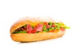 Long sandwich isolated Royalty Free Stock Photo