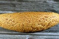 Long sesame bun bread, a fresh baked loaf of bread French Fino ready to fillings, typically filled with savory fillings, made from