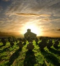 Church Cemetery At The Sunset, Serbia Royalty Free Stock Photo