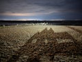 Long Shadows on the beach of 2 people sitting on a seat. Royalty Free Stock Photo