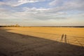 Long Shadows on the Beach