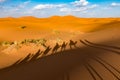 Long shadows of camel caravan, Erg Chebbi, Sahara desert, Merzouga, Morocco Royalty Free Stock Photo