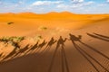 Long shadows of camel caravan, Erg Chebbi, Sahara desert, Merzouga, Morocco Royalty Free Stock Photo