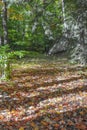 Autumn leaves falling on forest ground show roof of a hidden cottage or cabin in the pine forest.