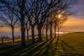 Long shadows formed by the impressive trees on Ramsgate Royal Esplanade at sunset on a winter day as a couple walk along the cliff