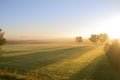 Long Shadows in Grassy Field