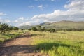 Long shadows of late afternoon sun over green grass field next t Royalty Free Stock Photo