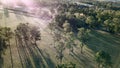 Long shadows and lens flare over gum trees on a farm in the bush