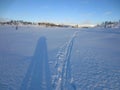 Long shadows of two people and cross-country ski tracks in the snow Royalty Free Stock Photo