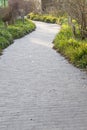 Long shot  of a brick path lined with trimmed grasses and bushes Royalty Free Stock Photo