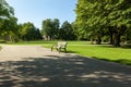 Long shot wooden bench along a path in a park surrounded by trees in Rotterdam, The Netherlands