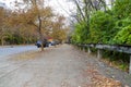 A long sidewalk covered with fallen autumn leaves with green and brown benches along the path and autumn colored trees