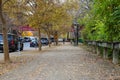 A long sidewalk covered with fallen autumn leaves with green and brown benches along the path and autumn colored trees