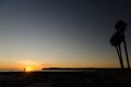 Long silhouettes of palm trees during sunset at Coronado beach Royalty Free Stock Photo