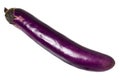 Long slender brinjal Royalty Free Stock Photo