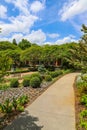 A long smooth winding footpath in the garden surrounded by lush green trees and plants and colorful flowers