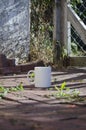 A long solo blank white coffee mug in front of the garden