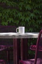 A long solo blank white coffee mug in a park