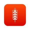 Long spica icon digital red