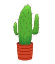 Long prickly cactus in a red pot