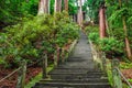 Long staircase going upwards in forest, Japan