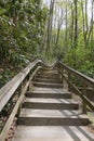 Long staircase to Mingo Falls