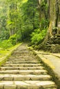 Long Stairs in a Forest, Grojogan Sewu Karanganyar Indonesia