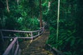 long stairs going deep into the green rainforest Royalty Free Stock Photo