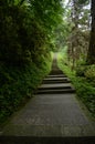 Long stairs trail