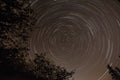 Long startrails with centre of polaris star, tree silhouette, end of summer, Slovakia