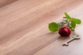 Long Stemmed Red Rose and Key on Wooden Surface