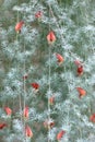 Exotic plant with bright scarlet flowers