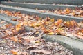 Long stone steps covered with fall leaves Royalty Free Stock Photo