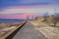 A long straight concrete footpath in the park surrounded by yellow winter grass and bare winter trees Royalty Free Stock Photo