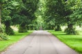 Long straight country road lined with trees, straight road with no cars leading to horizon Royalty Free Stock Photo