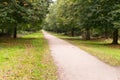 Long straight dirt road of white soil in the middle of forest wi Royalty Free Stock Photo