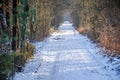 Footpath in winter Royalty Free Stock Photo