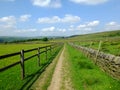 Long straight footpath runiing alongside a fence a dry stone wall into the distance with bright spring flowers in fields