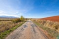 Long straight old rural road Royalty Free Stock Photo