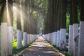 Long straight path road Royalty Free Stock Photo