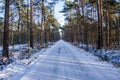 Long road in winter Royalty Free Stock Photo