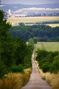 Long straight road by field in czech countryside