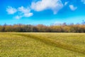 Long straight road on a grassy field in Czech republic, Europe Royalty Free Stock Photo