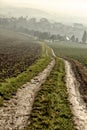 Long straight rural road bewteen brown and green fields by the village Royalty Free Stock Photo