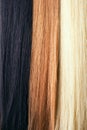 Long strengh hair Royalty Free Stock Photo